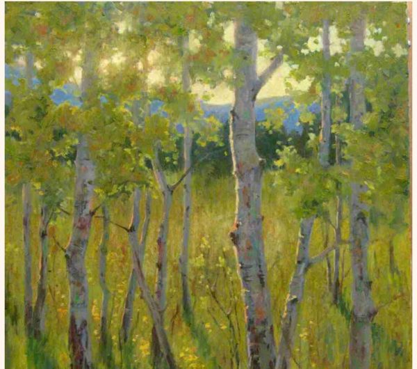 SAM Workshop Studio Plein Air - SAM Workshop Studio Plein Air 600x530